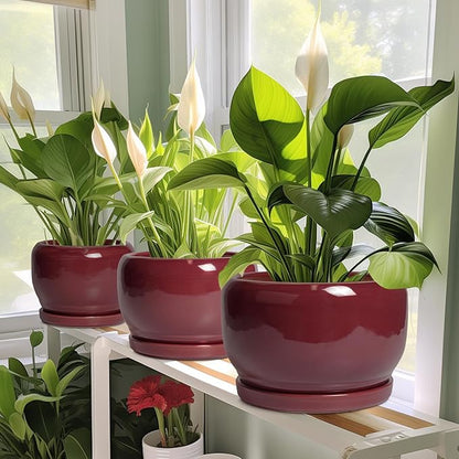SQOWL 6 Inch Plant Pot - Ceramic Planter for Indoor Plants Outdoor, Round Planter with Drainage Hole and Saucer, Decorative Modern Small Flower Pots, Room Decor, Gifts for Plant Lovers, Red