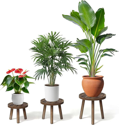 3 Pack Plant Stand Indoor Outdoor Mid-Century Modern Plant Stool Wooden Plant Pot Holder Home Decor for Gardening Living Room,Balcony,Office (Heavy Burnt Color, 3 Pack)