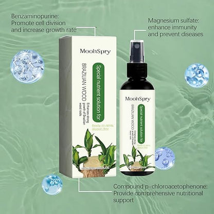 MoonSpry Brazilian lucky wood plant food, lucky bamboo liquid fertilizer,brazilian wood indoor houseplant fertilizer,bamboo indoor plant food,Fertilizantes de brasileña y árbol de la suerte,3pcs*100ml