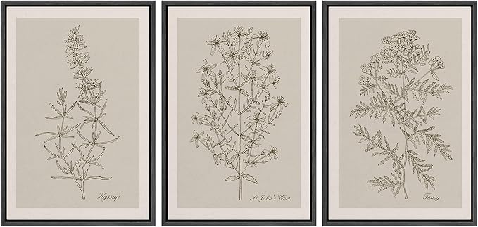 Ashbrook Framed Canvas Print Wall Art Set Duotone Vintage Flowers Nature Wilderness Illustrations Modern Art Decorative Floral Botanical Minimal Calm/Relax/Cozy for Bedroom - 24"x36"x3 BLACK