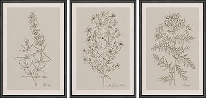 Ashbrook Framed Canvas Print Wall Art Set Duotone Vintage Flowers Nature Wilderness Illustrations Modern Art Decorative Floral Botanical Minimal Calm/Relax/Cozy for Bedroom - 24"x36"x3 BLACK