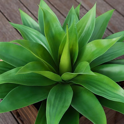Artificial Plants Fake Agave Succulent Plant 28 Inch Big Size Faux Succulents Stems for Indoor Outdoor Realistic & Natural Home Decor Plants for Office Housewarming