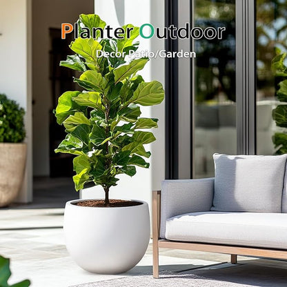 Ball Concrete Planter Outdoor Indoor, Large Tall Cement Plant Pots for Trees Flowers (White, 20 inch)