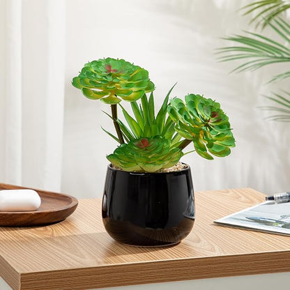 Briful Artificial Succulents Plants in Ceramic Pots, 2 Pack Faux Succulent Set with Black Planters – Modern Desk Decor for Home Office Shelf Bathroom, Small Fake Plants Potted