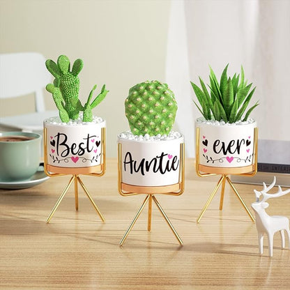 MAYICIVO Christmas Aunt Gifts from Niece Nephew, Best Gifts for Aunt, Best Auntie Ever Gifts Succulent Pots for Plants Indoor Ceramic Planter, Gift Boxed Aunt Birthday Gifts for Aunt Auntie