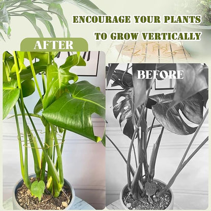 6PCS Golden Monstera Plant Support, Elegant Metal Plant Stem Support Stakes for Indoor Plants, Durable and Stylish Accessories for Healthy Growth and Stability
