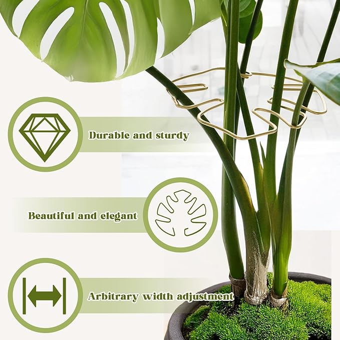 6PCS Golden Monstera Plant Support, Elegant Metal Plant Stem Support Stakes for Indoor Plants, Durable and Stylish Accessories for Healthy Growth and Stability