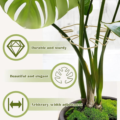 6PCS Golden Monstera Plant Support, Elegant Metal Plant Stem Support Stakes for Indoor Plants, Durable and Stylish Accessories for Healthy Growth and Stability