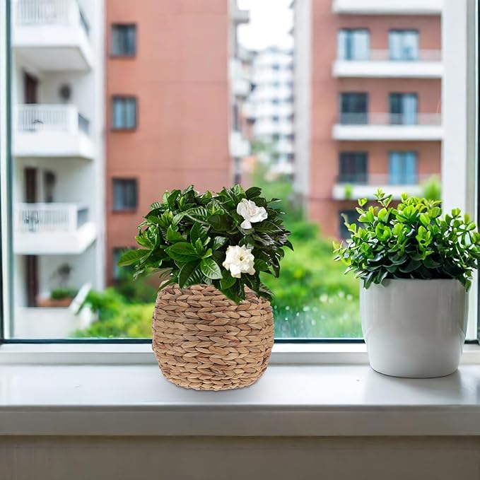 Woven Planter Basket, Seagrass Basket Planters, Hyacinth Woven Flower Pot Rattan Wicker Plant Pot, for Desktop and Home Organization