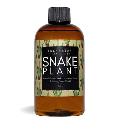 Lush Leaf | Plant Food (Snake Plant)