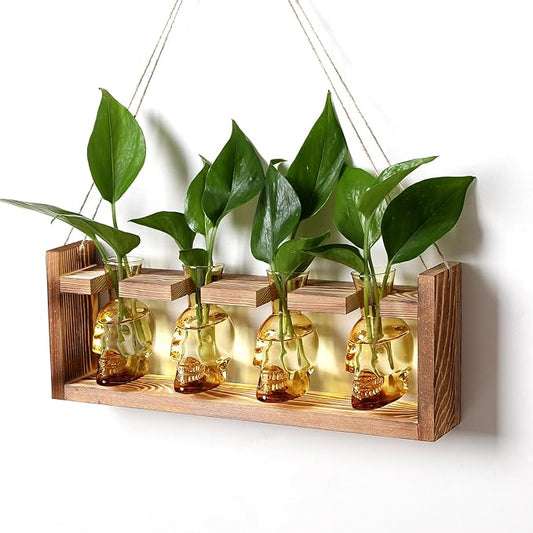 Plant Propagation Stations Halloween Skull Plant Terrarium Kit Glass Vases Gift for Father Air Planter Home Office Decor
