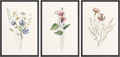 Ashbrook Framed Canvas Print Wall Art Set Pastel Flower Variety Nature Wilderness Illustrations Modern Art Decorative Floral Botanical Minimal Calm/Relax/Cozy for Bedroom - 16"x24"x3 Black