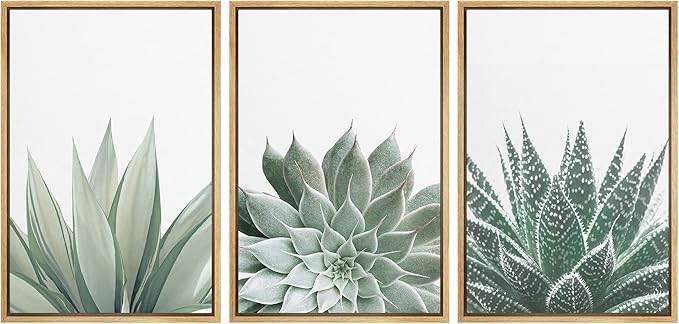 Ashbrook Framed Canvas Print Wall Art Set Green Desert Cactus Succulent Variety Nature Wilderness Photography Modern Art Minimal Chic Colorful for Living Room, Bedroom, Office - 24"x36"x3 Natural