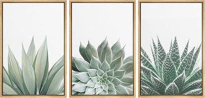 Ashbrook Framed Canvas Print Wall Art Set Green Desert Cactus Succulent Variety Nature Wilderness Photography Modern Art Minimal Chic Colorful for Living Room, Bedroom, Office - 24"x36"x3 Natural