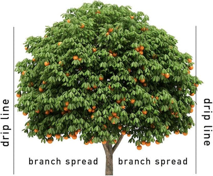 Jobe’s Garden Fertilizer Spikes, Easy Plant Care Slow Release Fertilizer for Fruit and Citrus Plants and Trees, 9 Count