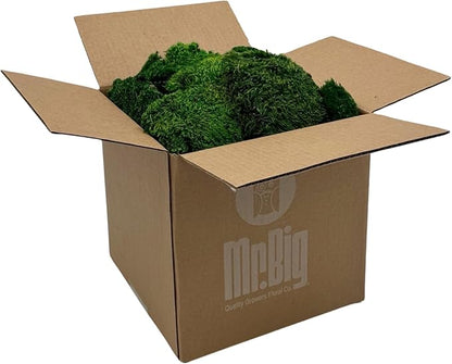 Preserved Mood Moss - Decorative Moss - Dried Moss for Crafts, Home Decor, Art, Design & DIY Projects - For Indoor Use - Natural Green - Standard Box - Covers 4-5 sq. ft.