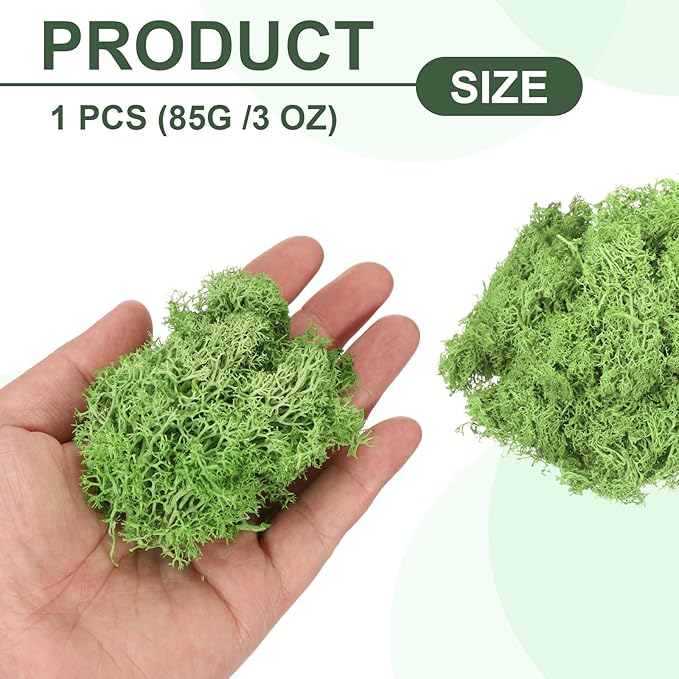 MECCANIXITY 3oz Preserved Reindeer Moss, Grass Green Decorative Artificial Fake Moss for Potted Plants Indoor Crafts Lichen Centerpieces Decor