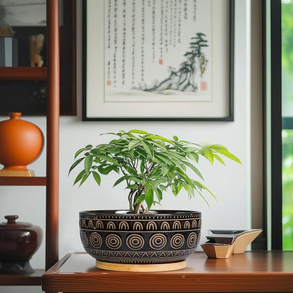 Ceramic Bonsai Pots - 8 Inch Plant Pot for Succulent, Round Planter for Indoor Plants, Shallow Planters with Drainage Hole and Tray, Boho Bonsai Bowl, Living Room Decor, Black