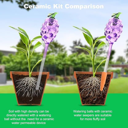 Plant Watering Globes, Grape Shape Self Watering Globes, Plant Watering Devices, 3PCS Purple+Green Color Clear Glass Bulbs Self Watering Planter Insert