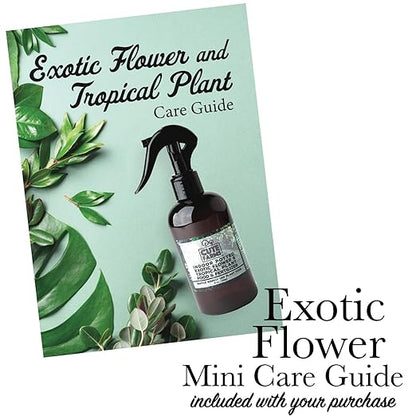 Cute Farms Indoor Potted Exotic Flower & Tropical Plant Fertilizer | Gentle Weekly Use Formula Plant Food (8 oz. Spray + ONE Fine Mist Spray Bottle)