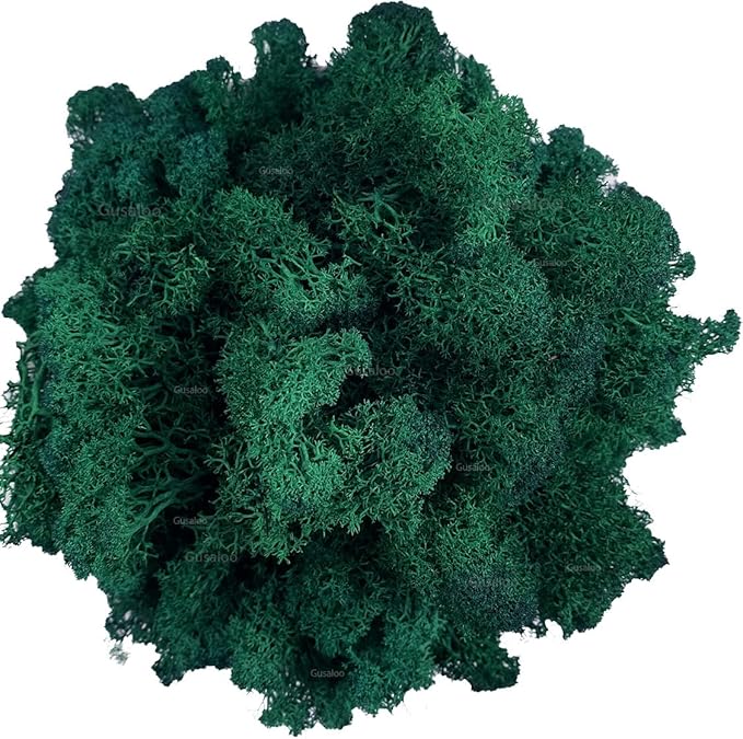 Moss Preserved Artificial Moss Natural Fresh Green Moss for Craft Arts Floral Project Wall Decor Table Decor Wedding Centerpieces Garden Terrariums Decoration -Dark Green 3.5OZ