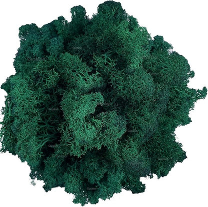 Moss Preserved Artificial Moss Natural Fresh Green Moss for Craft Arts Floral Project Wall Decor Table Decor Wedding Centerpieces Garden Terrariums Decoration -Dark Green 3.5OZ
