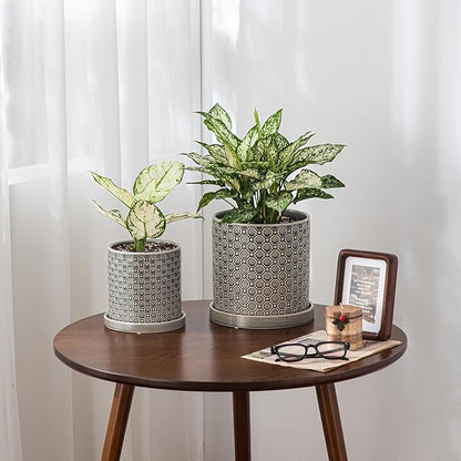 8 Inch Plant Pot: Ceramic Planter with Drainage Hole & Saucer Indoor Outdoor Plants - Cylinder Round Flower Pot for Home Office - Modern Decorative - Medium Grey
