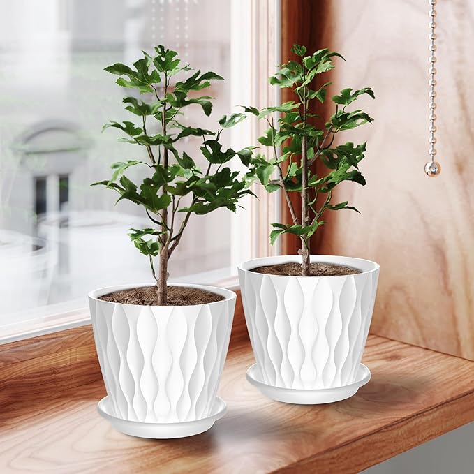 6 Pack 6 Inch Indoor Plant Pots with Drainage Holes, Outdoor Plastic Decorative Flower Pots, Garden Planters with Tray Saucers for Orchids, Violets, Succulents, Herbs, and Other Plants