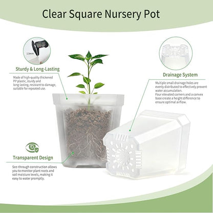 Clear Nursery Pots with Drainage Holes, 30 Pcs 2.7 Inch Square Plastic Pots for Plants, Clear Flower Pots Seed Starter Pot