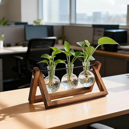 Plant Propagation Station, Plant Terrarium with Wooden Stand, Unique Gardening Birthday Gifts for Women Plants Lovers, Home Office Garden Decor Planter - 3 Bulb Glass Vases