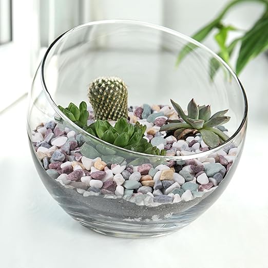 10 lbs Pea Gravel for Plants, Aquarium, Fish Tank, 3/8 inch Decorative Pebbles for Indoor Plants, Succulent, Bamboo, Vase, Drainage Rocks for Potted Plants, Top Dressing, Mixed Color