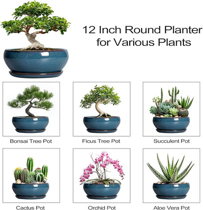 SQOWL Bonsai Tree Pots - 12 Inch Ceramic Succulent Pots, Large Shallow Planter with Drainage Hole and Saucer, Bowl Round Planters for Indoor Outdoor Plants, House Decor, House Warming Gifts, Blue
