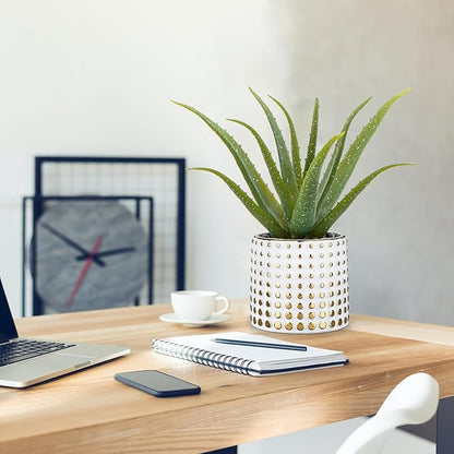 Artificial Succulent Aloe Plants 14.2 Inch Large Faux Succulents with Ceramic Pot Fake Aloe Potted Plant for Home Indoor Bathroom Table Bedroom Shelf Office Decor