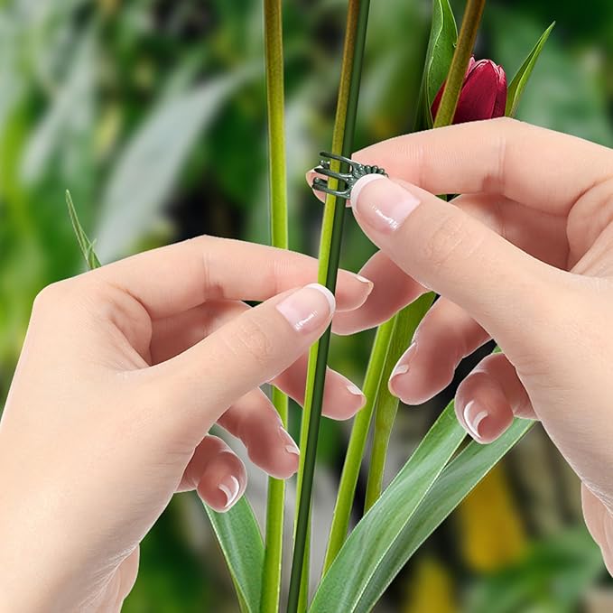 50Pcs Plant Stake Clip Set Green, Plant Sticks Supplies Support Tall, Useful Support Clips, Fine Workmanship Allow Bending Suitable for Various Plant Pots Indoors and Outdoors