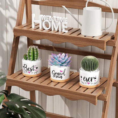Christmas Grandma Gifts Best Gifts for Grandma from Grandchildren Granddaughter, Best Grandma Ever Succulent Pots for Plants Indoor Ceramic Planter, Gift Boxed Cute Grandma Birthday Thanksgiving Gifts