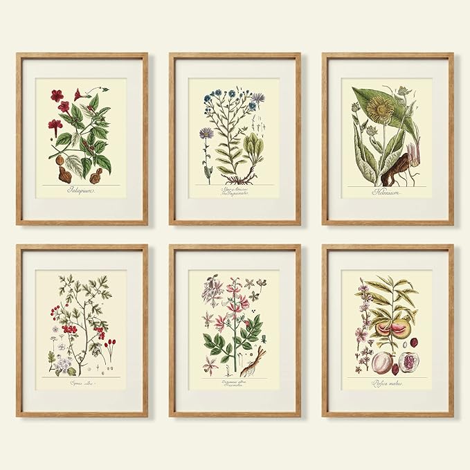 YUMKNOW Farmhouse Vintage Botanical Wall Decor - Unframed Set of 6, 11x14, Boho Cottegecore Plant Leaves Room Decor for Bathroom, Bedroom Art Posters Prints, Aesthetic Flower Pictures Office Kitchen