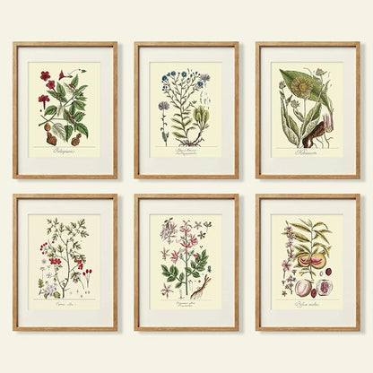 YUMKNOW Farmhouse Vintage Botanical Wall Decor - Unframed Set of 6, 11x14, Boho Cottegecore Plant Leaves Room Decor for Bathroom, Bedroom Art Posters Prints, Aesthetic Flower Pictures Office Kitchen