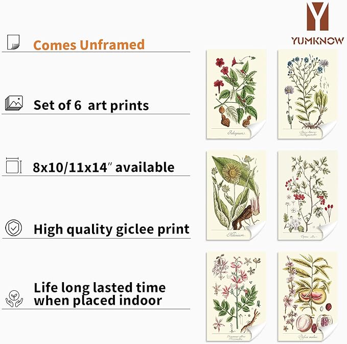 YUMKNOW Farmhouse Vintage Botanical Wall Decor - Unframed Set of 6, 11x14, Boho Cottegecore Plant Leaves Room Decor for Bathroom, Bedroom Art Posters Prints, Aesthetic Flower Pictures Office Kitchen