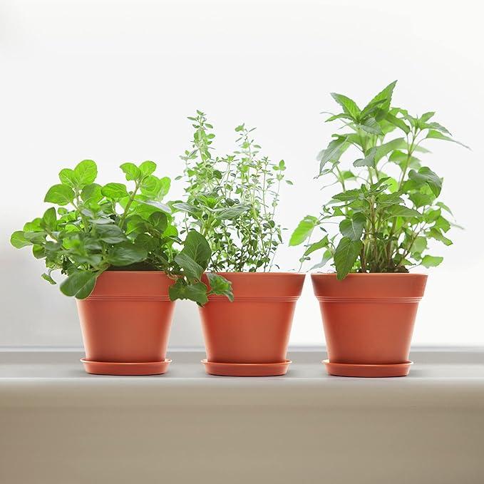 4 inch Plant Pots 16 Pack, Small Plant Pots with Drainage Holes and Tray, Thickened Indoor Planters Seedlings Pots for Flowers, African Violet, Succulent and All House Plants, Terracotta