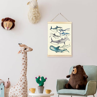TAEDIN Watercolor Shark Ocean Animal Chart Poster Hanger Frame, Educational Shark Kid Bathroom Decor Wooden Canvas Artwork Print, Sea Life Wall Painting for Homeschool Classroom Library Dorm Decor 16X24