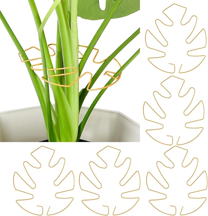Plant Support Clips - 5-Pack of 7.52x6.65 Inch Indoor plant stabilizer for Vines,Monstera, Pothos & Philodendron | plant stem support,Durable Trellis Accessories for Gardening