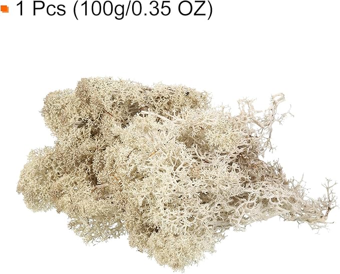 MECCANIXITY 3.5 OZ Moss Fake Craft Moss Artificial Moss Natural Preserved Moss for Craft Arts Floral DIY Project Wall Wedding Garden Patio Table Terrariums Decoration(Natural Colour)