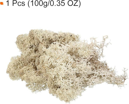 MECCANIXITY 3.5 OZ Moss Fake Craft Moss Artificial Moss Natural Preserved Moss for Craft Arts Floral DIY Project Wall Wedding Garden Patio Table Terrariums Decoration(Natural Colour)