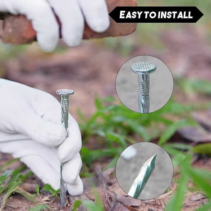 10 Inch Galvanized Landscape Stakes Heavy Duty Metal Anchoring Spikes Garden Nails for Paver Edging, Camping Tent, Weed Barrier, Artificial Turf, Carpentry and More (50)