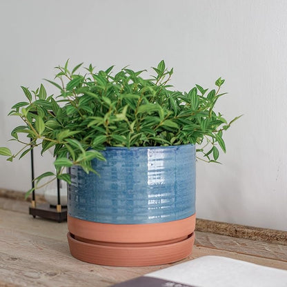 8 Inch Pots for Plants, Ceramic Planter Pot with Drainage Hole & Saucer, Indoor/Outdoor Cylinder Round Planter Pot, Blue & Terracotta