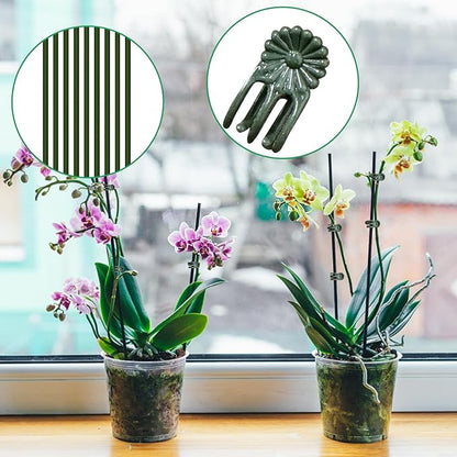 50Pcs Plant Stake Clip Set Green, Plant Sticks Supplies Support Tall, Useful Support Clips, Fine Workmanship Allow Bending Suitable for Various Plant Pots Indoors and Outdoors