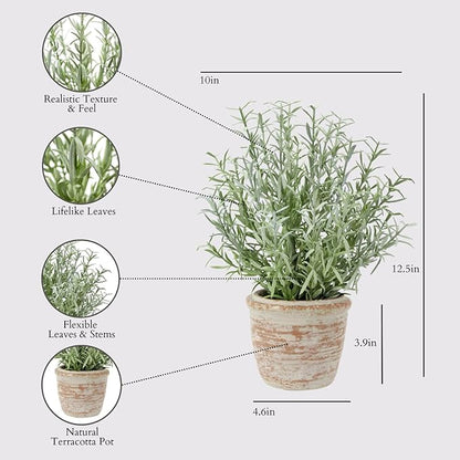 CG Hunter Faux Rosemary Plant & Olive Topiary, Set-of-2 Premium Artificial Indoor Plants, Enhances Interior Design, Lifelike-Leaves Create Realistic Natural Appearance, Grey Planter Pot Included