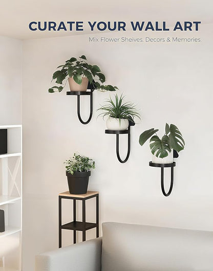 Wall Mounted Plant Holder , Yi Cheng Indoor Wall Plant Hanger with Shelves for Window Plants, Hanging Planters for Home Decor, Set of 3 Black Plant Wall Organizers