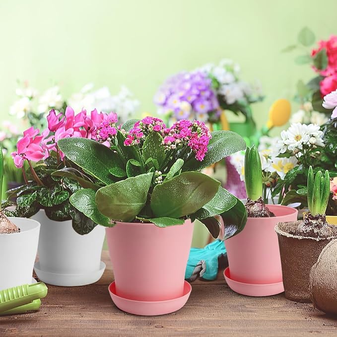 OALCQ 4 Inch Small Flower Pots - 24 Pcs, 8 Colors, Indoor Plant Pots with Drainage