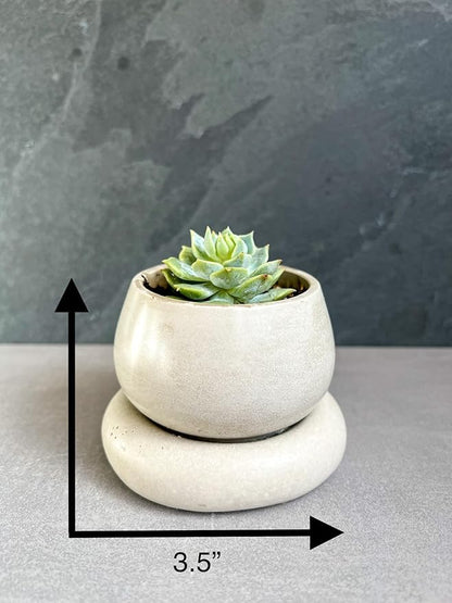 Mini Concrete Planter with Drainage, Cute Plant Pot, Bubble Planter, Decorative Cement Pot, Minimalist Pot with Saucer, Nordic, Chunky Pot (White)